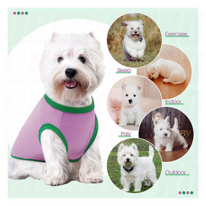 Camisetas para Perros, Camisetas de Algodón Suave para Perros, Camiseta sin Mangas, Chaleco para Perros, Ropa Cómoda, Transpirable y Ligera para Mascotas, Cachorros - Product Image 4