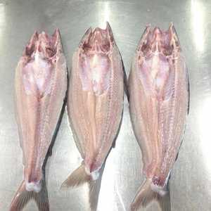 เนื้อปลาบาซาเวียดนามแช่แข็ง ตัดแต่งเรียบร้อย ไม่มีหนัง ไม่มีก้าง - Product Image 1