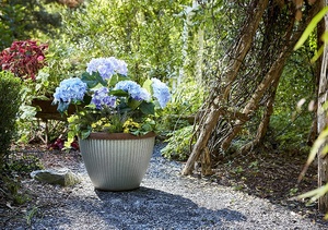 Vật Liệu Mạ Kẽm Vòng Lớn Trồng Màu Tự Nhiên Và Thiết Kế Bài Viết Với Kích Thước Tùy Biến - Product Image 5