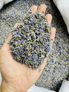 Flores de Lavanda, Capullos Secos, 3A 4A 5A 6A, Lavandula angustifolia, Venta al por Menor y al por Mayor |   Material de Lavanda Seca en Forma de Capullos - Product Image 2