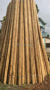 Poste de Bambú Natural Resistente de 4-10 m de Longitud y 3-10 cm de Diámetro para Construcción, Jardinería, Soporte de Plantas, Cercas y Decoración - Product Image 3