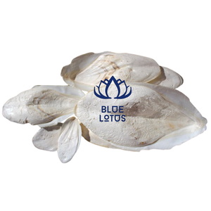 อาหารนกจากปลาธรรมชาติ TOP Eco พร้อมแคลเซียมจากปลา สำหรับกรงนก ผลิตภัณฑ์สำหรับสัตว์เลี้ยง ขายส่งและส่งออก - Product Image 3