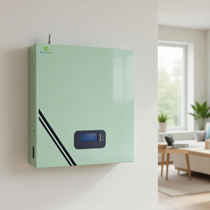 48V 200Ah 10kWh 壁掛け式 LiFePO4 バッテリーパック 家庭用太陽光発電蓄電 リチウムイオンバッテリー オフグリッド 家庭用バックアップ電源 - Product Image 1