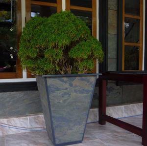 Paneles de Revestimiento de Pared de Piedra de Pizarra C GOLD 1, Acabado Texturizado Natural, Duradero, Ecológico, Diseño Moderno, Más de 5 Años de Duración - Product Image 1