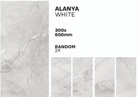 Carreaux SATHIYA Alanya marron en porcelaine brillante, imitation brique, texture imitation brique, antidérapant, résistant à l'usure, 300x600mm, pour hall