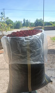 TÉ DE HIBISCO EN OFERTA, Material de Primera Calidad para Bebida Relajante y Mejora de la Circulación Sanguínea, Limpio, 2026 - Product Image 4