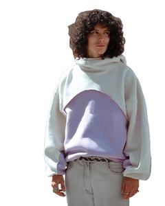 Personalizado de alta calidad de doble capa 500 Gsm Fleece Hoodies Fabricantes Heavy Hoodie Puff Printing Heavyweight Mens Cropped Hoodie - Product Image 4