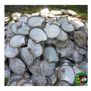 Cuillère décorative en nacre naturelle faite à la main, cuillère de service en gros - Product Image 1