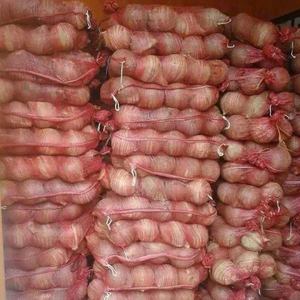IN HIGH DEMAND <b>Fresh</b> <b>Semi</b> <b>Husked</b> <b>Coconut</b> premium clean export quality for baking and juice shops from selected <b>coconut</b> source - Product Image 5
