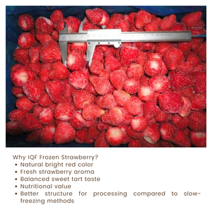 Fresas Congeladas IQF Premium de Vietnam, Color Brillante y Sabor Natural - Product Image 2