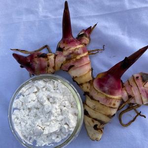 Almidón de arrowroot de la mejor calidad, harina blanca en polvo, tipo nativo de Vietnam, almidón de raíz - Product Image 1