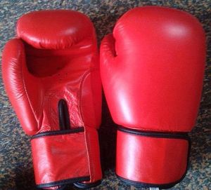 ถุงมือชกมวยหนังแท้ Pu พร้อมสายรัดแบบ Hook and Loop ขนาดสั่งทำได้ สำหรับใช้ในยิม - ถุงมือฝึกซ้อม - Product Image 3