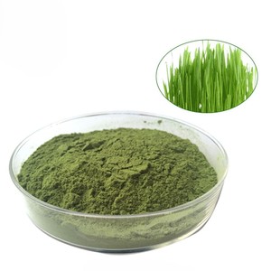 Fine <b>Mesh</b> 100% Natural Wheat Grass Powder Herbal Food Grade Wheat Grass Fruit Powder Helps Improve Digestive & Overall Health - Product Image 2