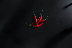 Chile Rojo Seco Entero 100% Puro y Natural de FitTree International para Mercados Internacionales - Product Image 4