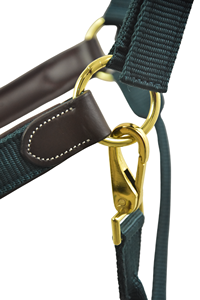 Indian Leather Comfort Horse Show Halter Head Collar Full BRASS Fitting - Product Image 5