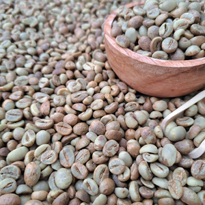 กาแฟโรบัสต้าสีเขียวคุณภาพพรีเมียม ขายส่งจำนวนมาก พร้อมส่ง ขายดีที่สุด ส่งออก - Product Image 6