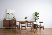 Buffet moderne en bois de noyer de 1,2 m avec tiroir et porte pour rangement dans la salle à manger/le salon