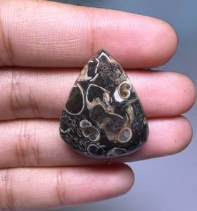 Lote al por mayor de cabujones de ágata TURRITELLA por peso con diferentes formas y tamaños utilizados para la fabricación de joyas, piedra TURRITELLA - Product Image 1