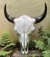 Crâne de buffle sculpté à la main et poli, décoration murale suspendue ou sur pied, style animalier, écologique