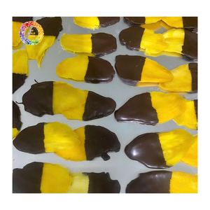 Mangue trempée dans du chocolat, mangue séchée moelleuse, collation au goût tropical sucré, mangue séchée enrobée de chocolat de haute qualité - Product Image 1