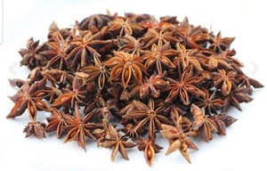 ตัวเลือกที่ดีที่สุดสำหรับการปรุงรสโป๊ยกั๊กพืชแห้งโป๊ยกั๊กจากเวียดนาม // คุณภาพสูงและราคาถูก // Mr. Pierre Luu - Product Image 6