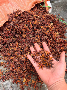 Suministro Directo de Vietnam: Anís Estrellado Seco en Cápsulas Enteras, Bolsa de 4 Oz, Especia de Primera Calidad para Cocinar - Product Image 1