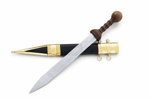 Espada Corta Medieval Vikinga Romana de Acero de Alto Carbono, Estilo Martillo Oscuro, con Funda de Madera y Detalles de Latón - Product Image 3