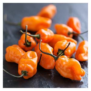Piments Habanero riches en protéines, fournisseur en gros, piment naturel épicé, emballage en vrac, exportateur - Product Image 2