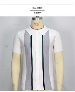 2025 haute qualité nouveau gros Polo T-Shirt décontracté revers court longueur bouton décoration Polo - Product Image 2