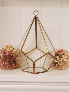 Verre transparent en cristal de laiton + cadre métallique en cuivre, joli terrarium en boule géométrique, cactus - Product Image 6