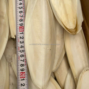 Grano Seco Premium para Cervecería, Fuente Natural de Calcio, Kim Minh International - Product Image 4