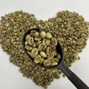 Café Robusta Verde Premium de Vietnam, Granos Vietnamitas Sostenibles, Empaque Personalizado al 100%, Entrega Rápida - Product Image 6