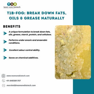 Probióticos de Origen Europeo para Control de Olores en Trampas de Grasa y Aguas Residuales, Antibacterianos - Product Image 3