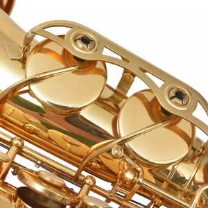 Eb sassofono contralto in ottone giallo con finitura laccata oro - Product Image 4