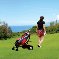 Scooter de golf électrique pour une seule personne chariot de golf combiné à distance chariot de golf chariot électrique