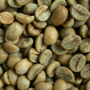 Grains de café Arabica non torréfiés authentiques, arôme intense, saveur riche, processus naturel, tamis 14, qualité supérieure, ferme du Vietnam - Product Image 5