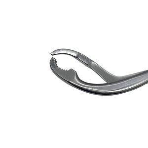 Pince à os vétérinaire de haute qualité en acier inoxydable, pince orthopédique robuste pour réduction osseuse, chirurgie vétérinaire - Product Image 5