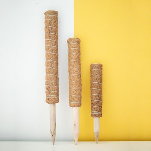 Coco plant <b>pole</b> natural coir stick <b>for</b> plants support competitive price starter moss <b>poles</b> - Product Image 6