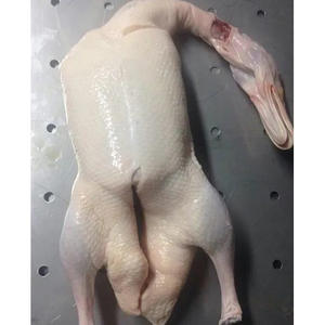 High Grade Export Quality Halal Frozen <b>Duck</b> Packed for Bulk Wholesale Trade - Product Image 6