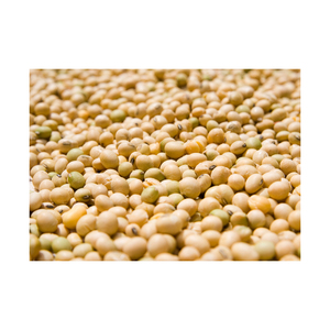 Graines de soja de qualité export pour le commerce mondial et l'industrie agricole, avec des graines de soja de première qualité préservant la pureté naturelle - Product Image 6