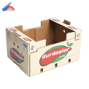 Caja de Cartón para Frutas de Exportación Premium |   Empaque Corrugado Impreso Personalizado - Product Image 4