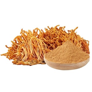 OEM Wholesale Spray Dried Cordyceps Mushroom Powder Bulk High Potency Herbal <b>Extract</b> for Capsules, Tablets & Functional Foods - Product Image 2