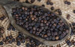 Pimienta Negra Natural 100% Certificada ISO de la Mejor Calidad en Oferta, Chile Seco 550GL, Especias y Hierbas en Polvo - Product Image 4