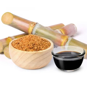 Poudre de mélasse de canne à sucre séchée du Vietnam |   Qualité supérieure pour l'industrie agroalimentaire - Product Image 2