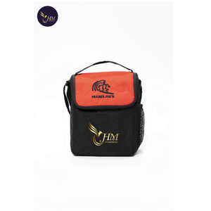 Eco-Friendly 600D Insulated Portable Handled Cooler Lunch Bag with Zipper Closure Custom Logo High Quality Thermal From Vietnam - Product Image 1