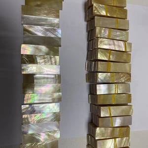 Piezas Brillantes de Madreperla para Componentes de Joyería y Uso Artesanal - Product Image 1