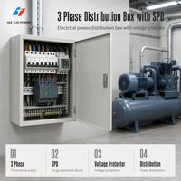 Boîte de distribution électrique professionnelle triphasée avec protection contre les surtensions et SPD pour la vente en gros
