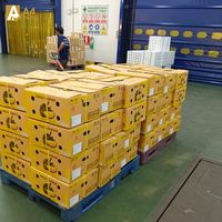 Thaise verse Monthong Durian Premium Export Kwaliteit Leverancier A4 FRUIT TRADING CO.LTD Diepvries Originele Tropische Smaak 500g 14-daagse levering