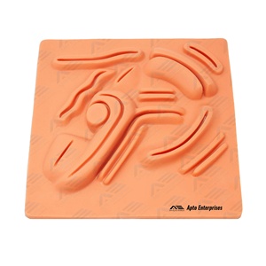 Kit de sutura para estudiantes de medicina Kit completo de práctica quirúrgica con herramientas Hilos de nailon y seda Almohadilla de silicona Instrumento médico - Product Image 1