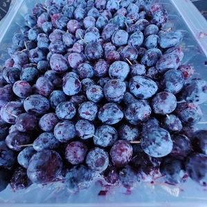 Myrtilles surgelées IQF biologiques de qualité supérieure, emballées sous vide, pour la vente en gros, idéales pour les smoothies, desserts, pâtisseries et la fabrication d'aliments sains - Product Image 2